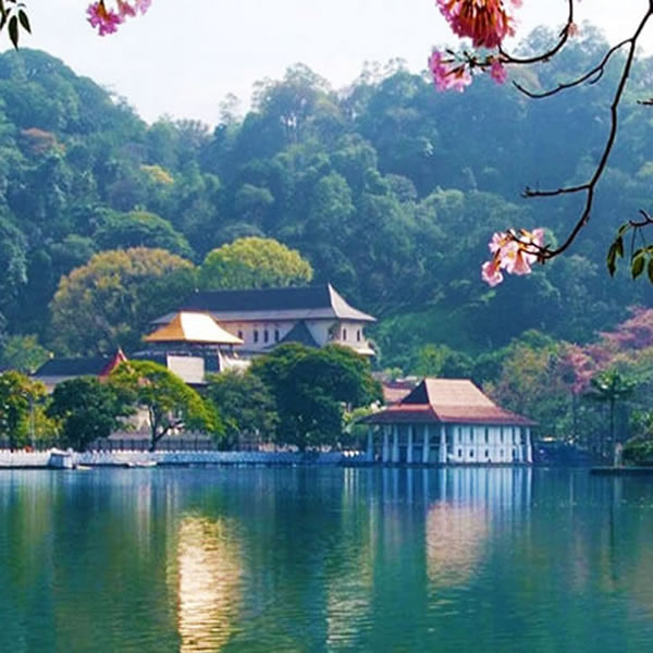 kandy-view-point