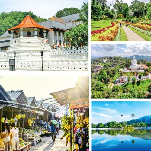 Day Tour in Kandy